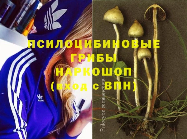 хмурый Абдулино